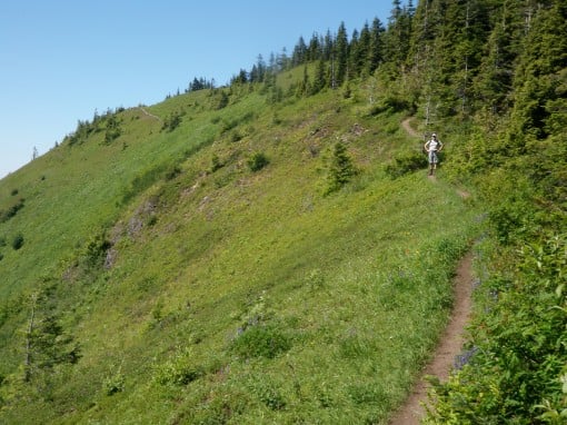 The trail between Elk Mountain and Mount Thurston