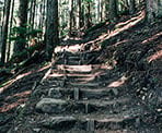 Wooden steps of the BCMC Trail in North Vancouver