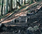 The well used wooden steps of the BCMC Trail in North Vancouver