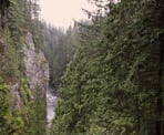 The view of the Capilano Canyon from the viewing platform along the Capilano Pacific Trail