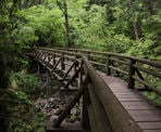 A wooden bridge crosses a rocky creek along the upper section of the Capilano Pacific Trail