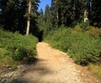 The start of the Ridge Trail behind Grouse Mountain takes hikers into the backcountry