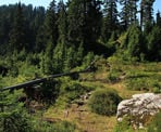The Alpine Trail behind Grouse Mountain passes a series of pipes
