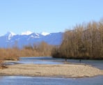 Fishing along the Vedder River as viewed from the Rotary Trail