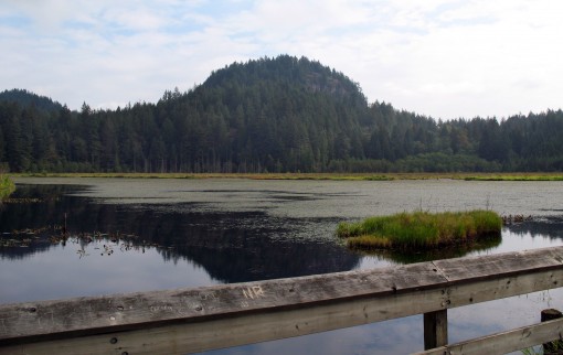 Minnekhada Regional Park marsh and high knoll