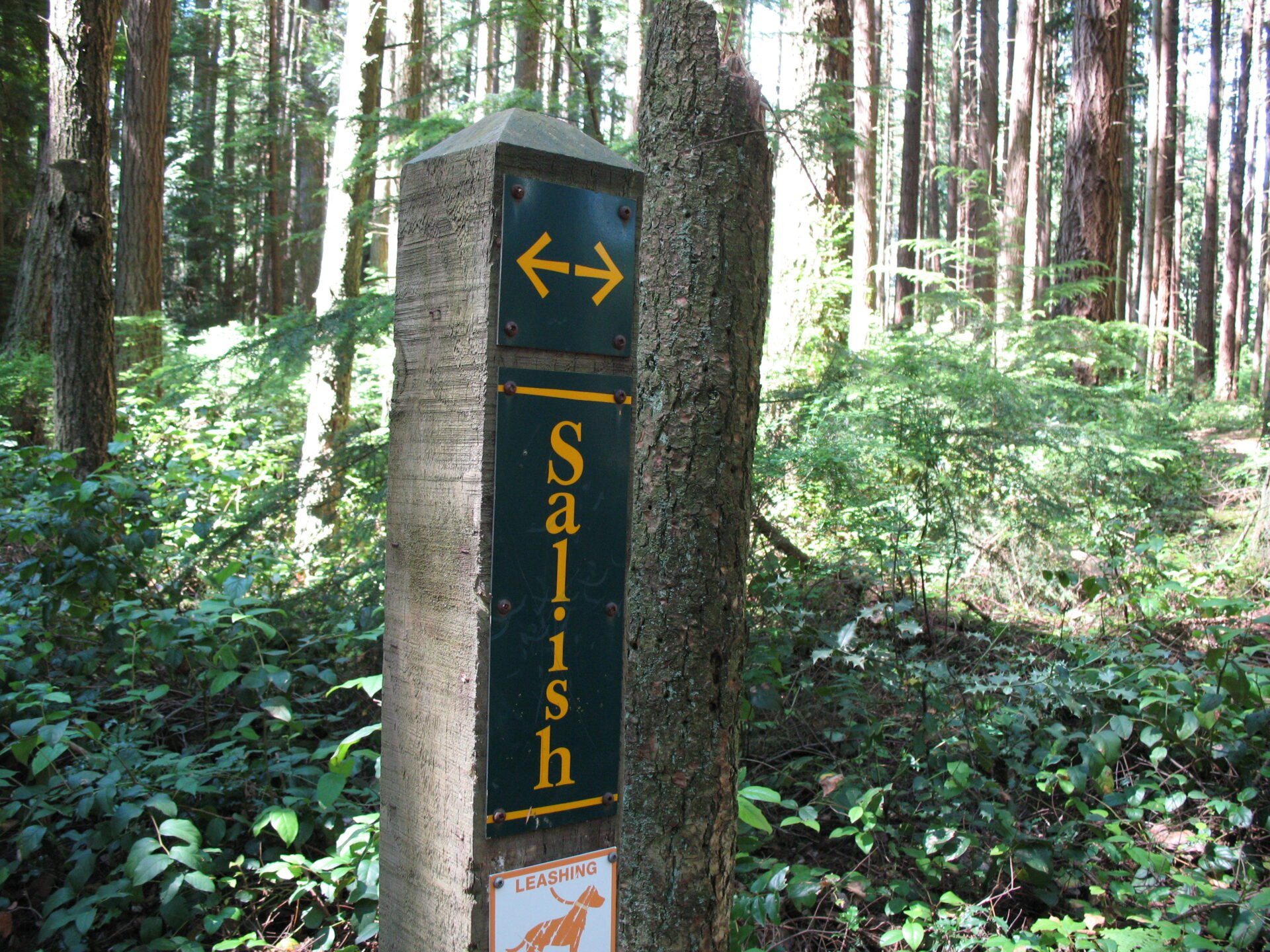 Salish Trail Sign