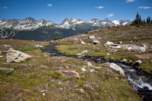 A small stream in Whistler's Alpine