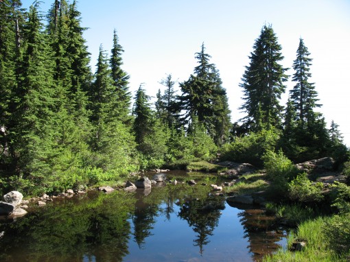 A tiny lake along the Hollyburn Mountain trail