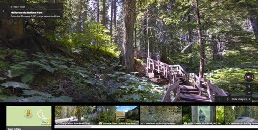 Google Street View of Giant Cedars Boardwalk