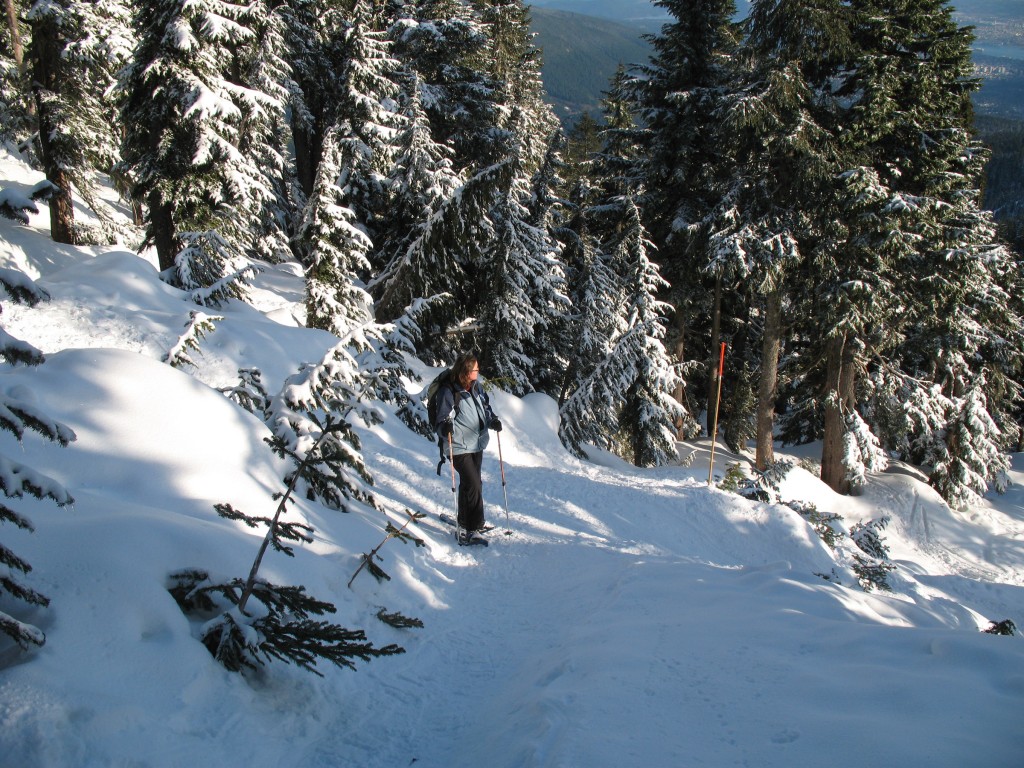 Enjoying the view along the snowshoe trail to Hollyburn Mountain