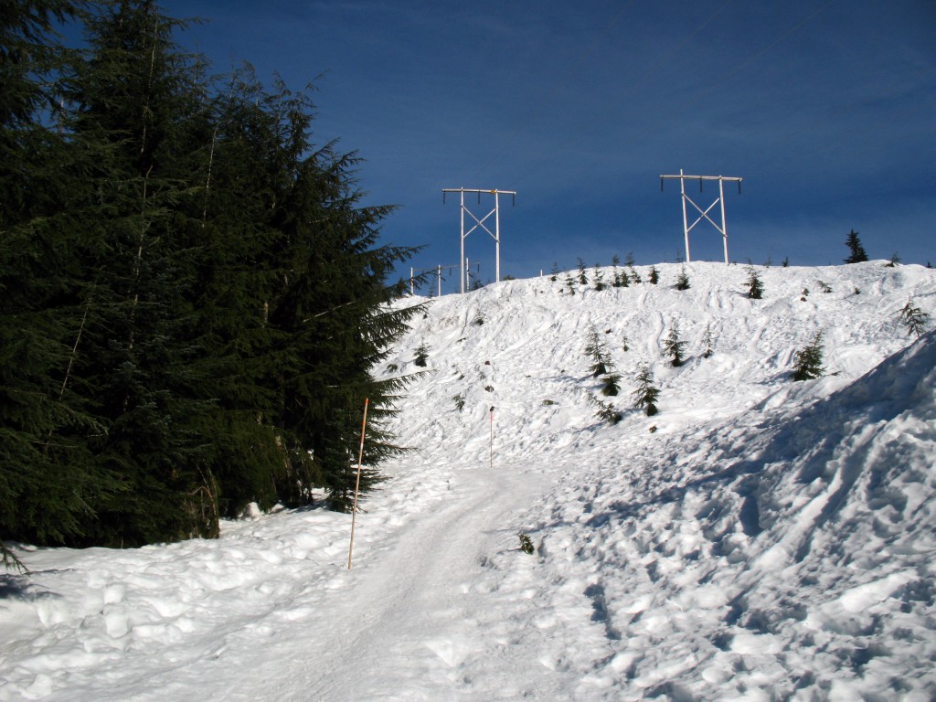 The start of the snowshoe trail to Hollyburn Mountain