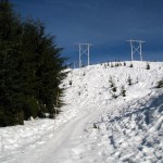 The start of the snowshoe trail to Hollyburn Mountain