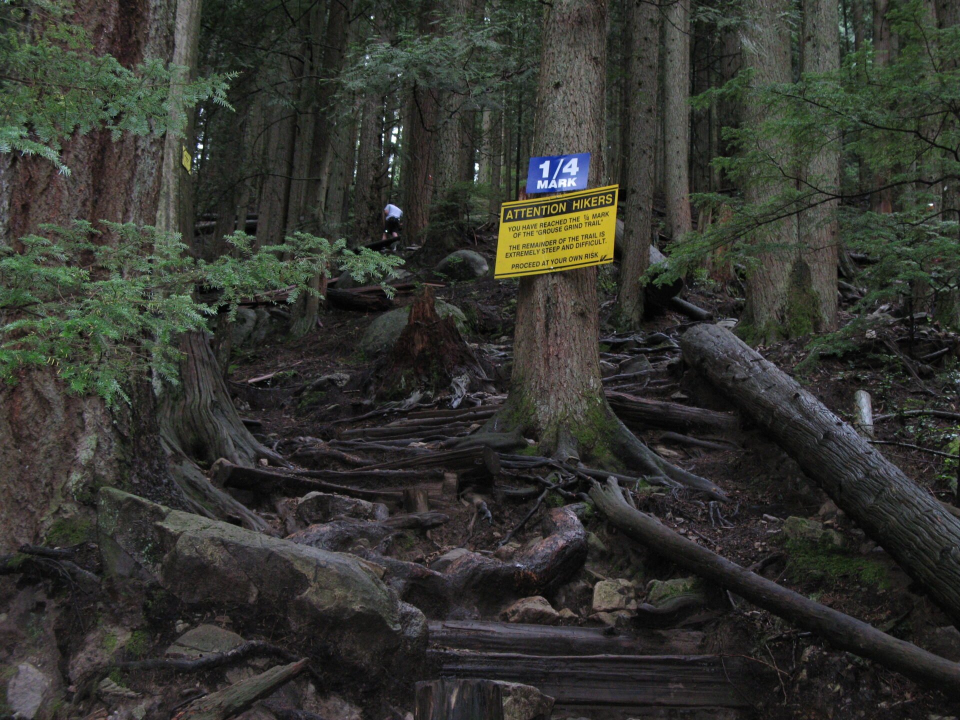 Popular Exercise Hikes « Vancouver Trails