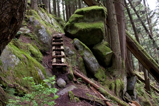 Steep, wooden steps up the Harrison Grind