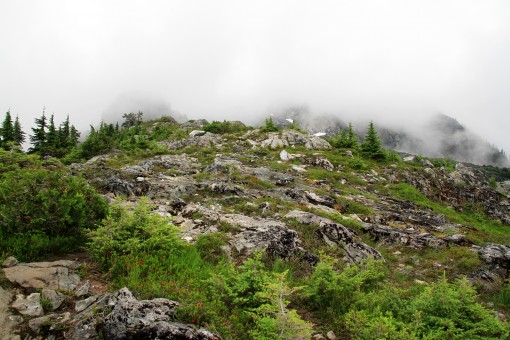 Golden Ears Trail