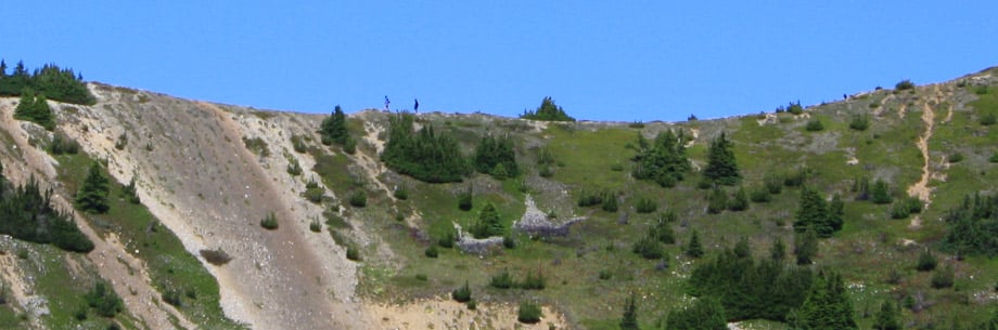 Views from the Heather Trail in Manning Park