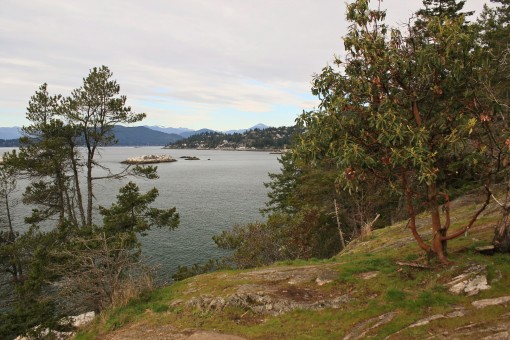 The view from Juniper Point in Lighthouse Park