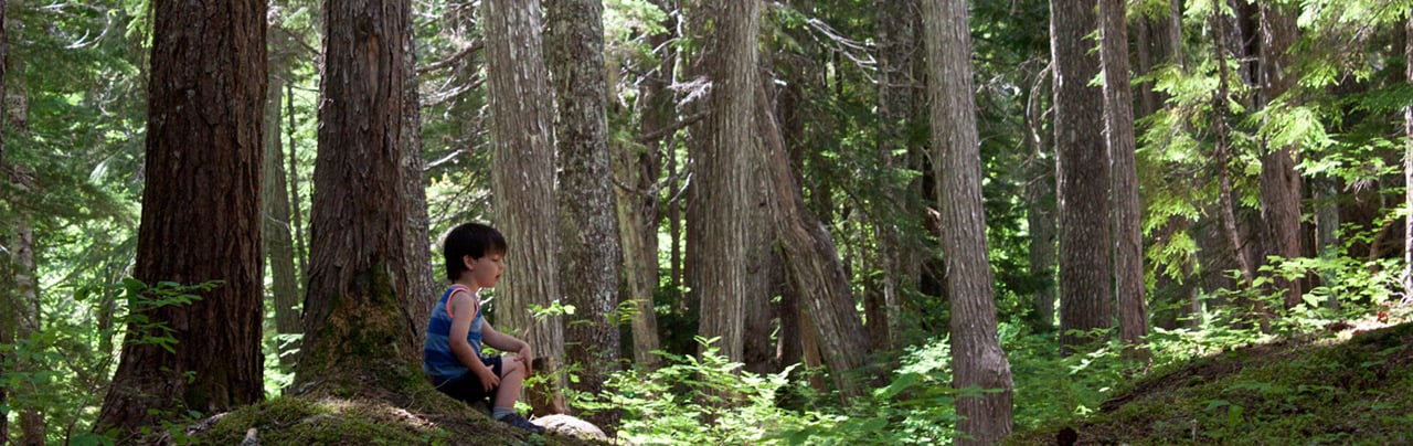 10 Hikes to take your kids on this summer