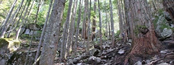 The steep Sea To Summit Trail