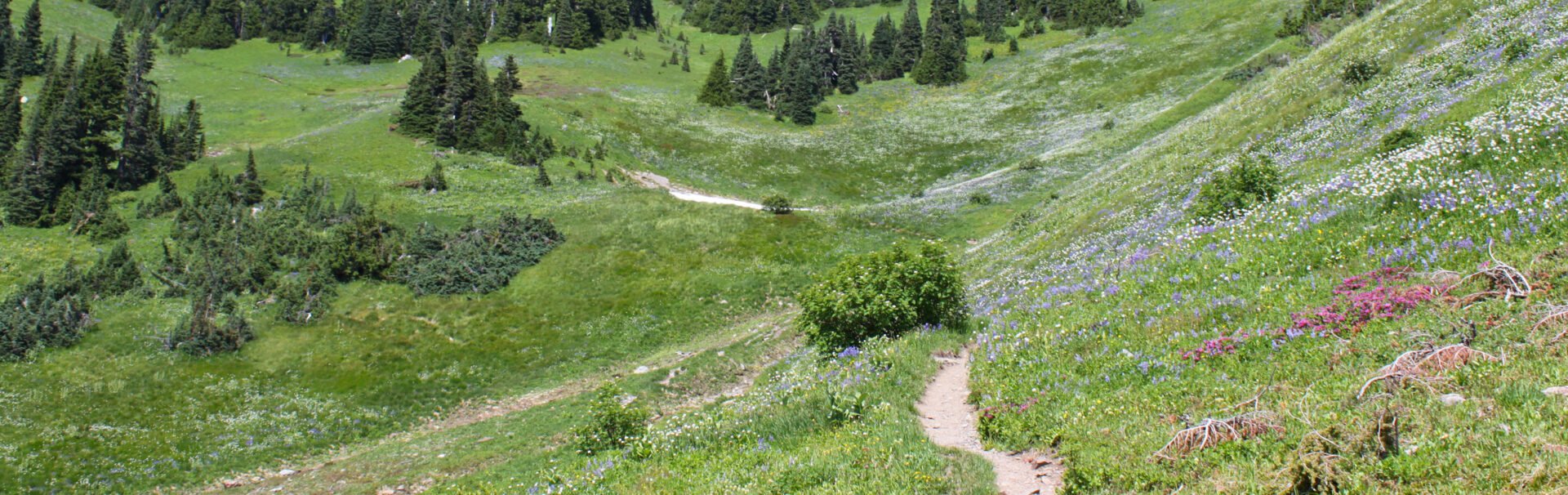 Leave No Trace
