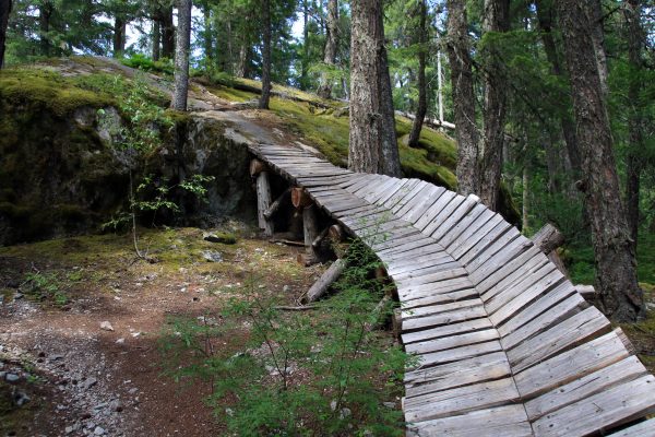 Mountain biking obstacle on the way to the Whistler Train Wreck
