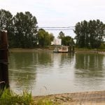 The ferry at Barnston Island