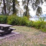 Picnic Tables on Barnston Island