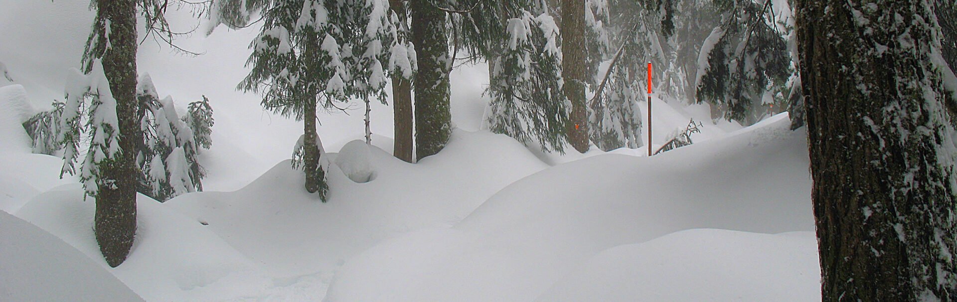Vancouver Snowshoe Trails