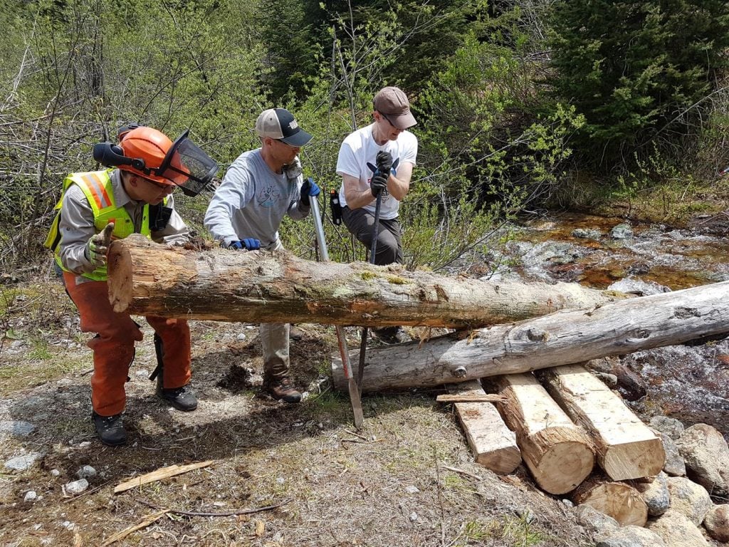 BCMC Crew in 2017 moving a large log over Demon Creek to build a new bridge.