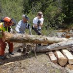 BCMC Crew in 2017 moving a large log over Demon Creek to build a new bridge.