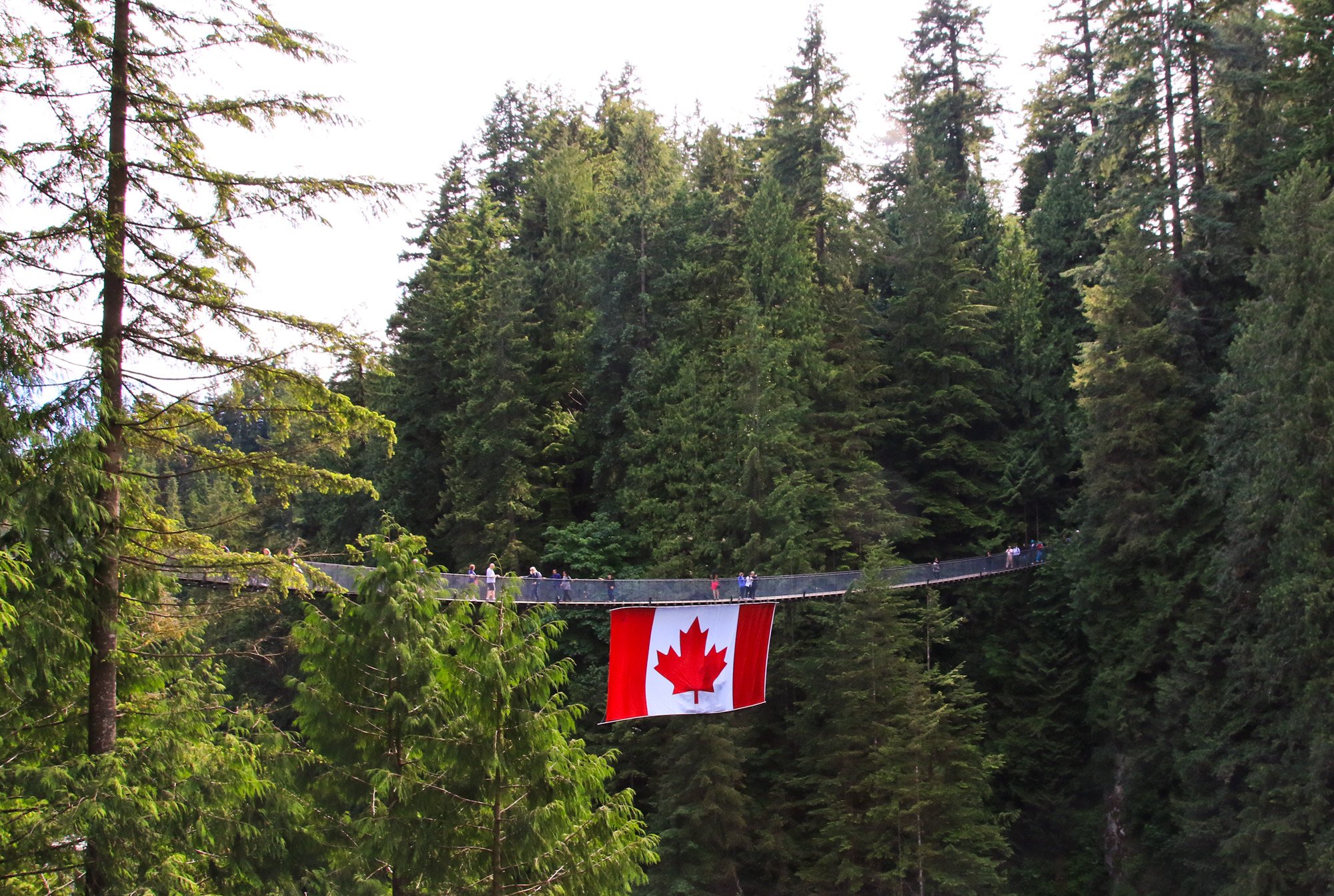 Suspension Bridges Near Vancouver, BC Vancouver Trails