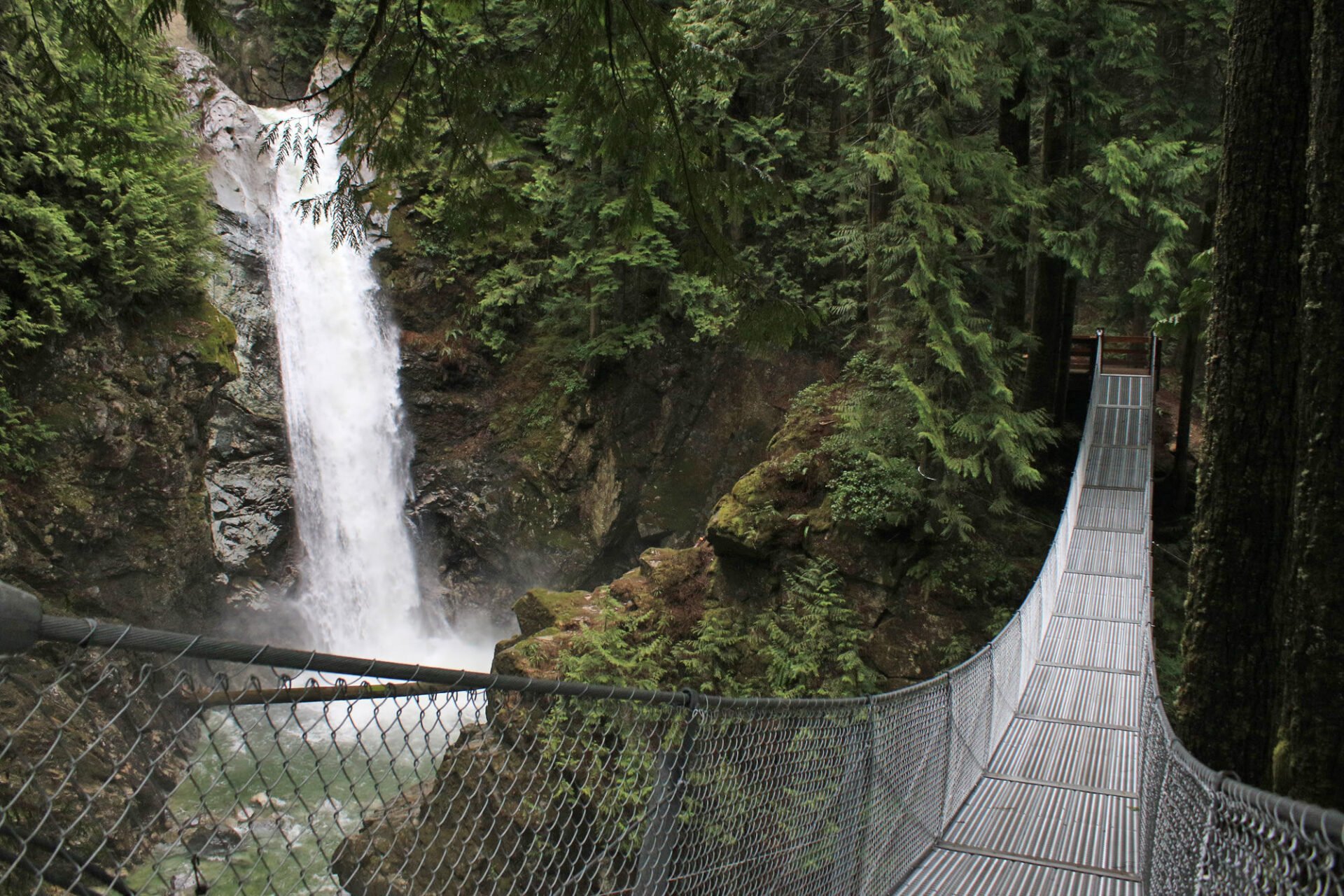 Suspension Bridges Near Vancouver, BC Vancouver Trails