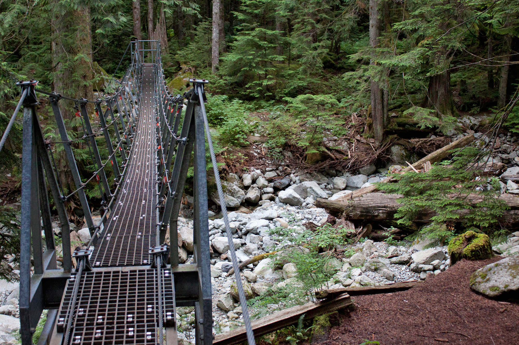 Suspension Bridges Near Vancouver, BC Vancouver Trails