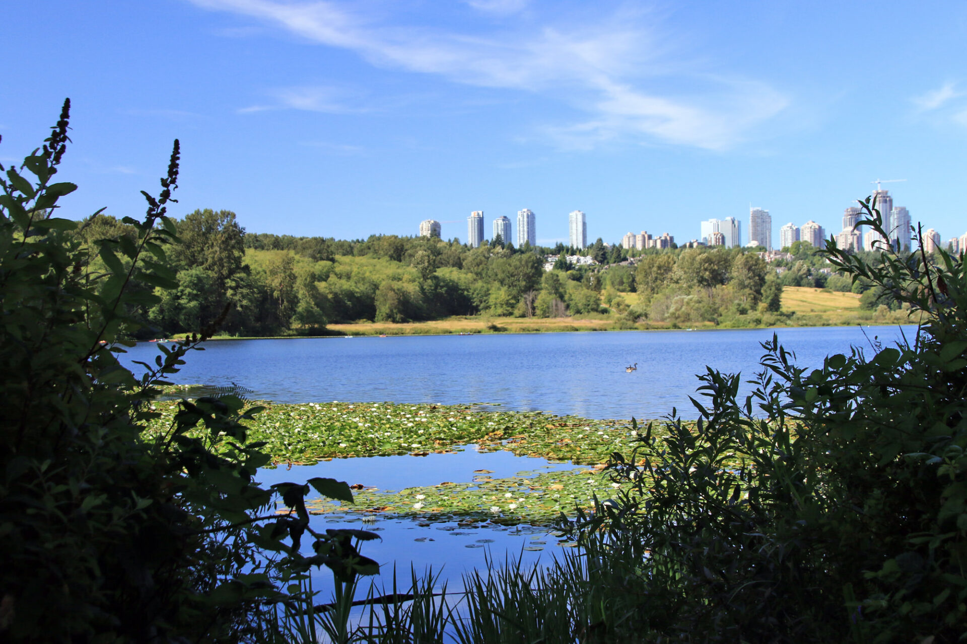 10 Best Beginner Hikes around Vancouver Vancouver Trails