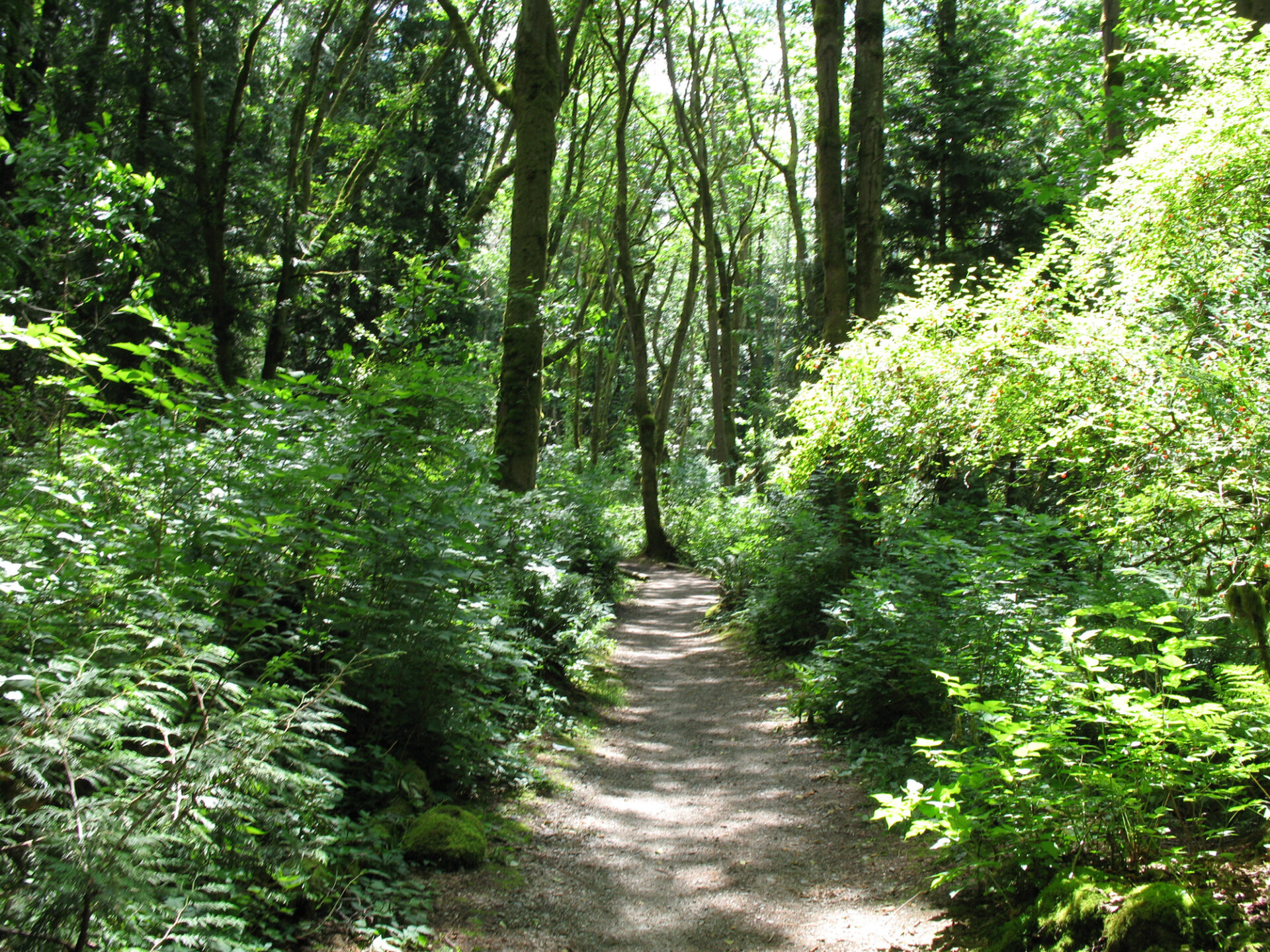 10 Best Beginner Hikes around Vancouver Vancouver Trails