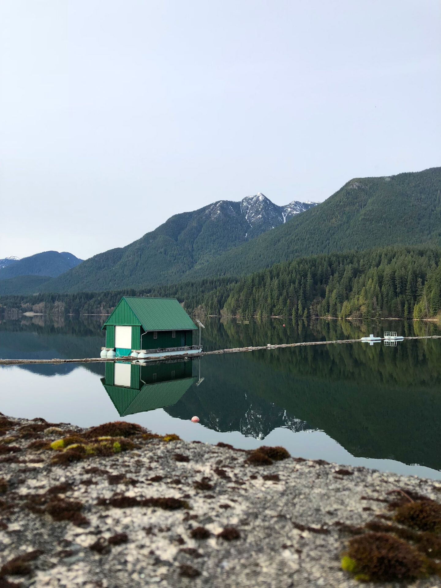 5 Best Dog Friendly Trails in Metro Vancouver Vancouver Trails