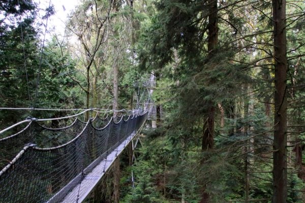 Greenheart TreeWalk
