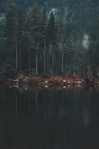 Buntzen Lake