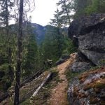The trail to Mehatl Creek Falls