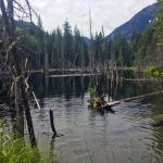 The bog along the Mehatl Creek Falls trail