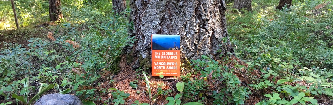 Glorious Mountains of Vancouver's North Shore