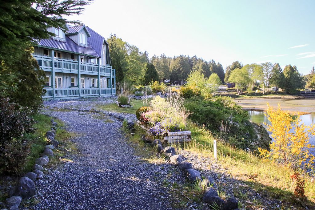 Best Hikes Near Ucluelet Vancouver Trails