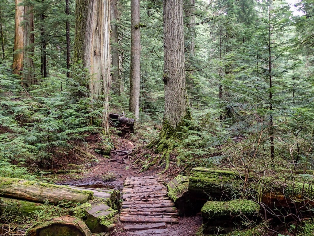 Brothers Creek Trail