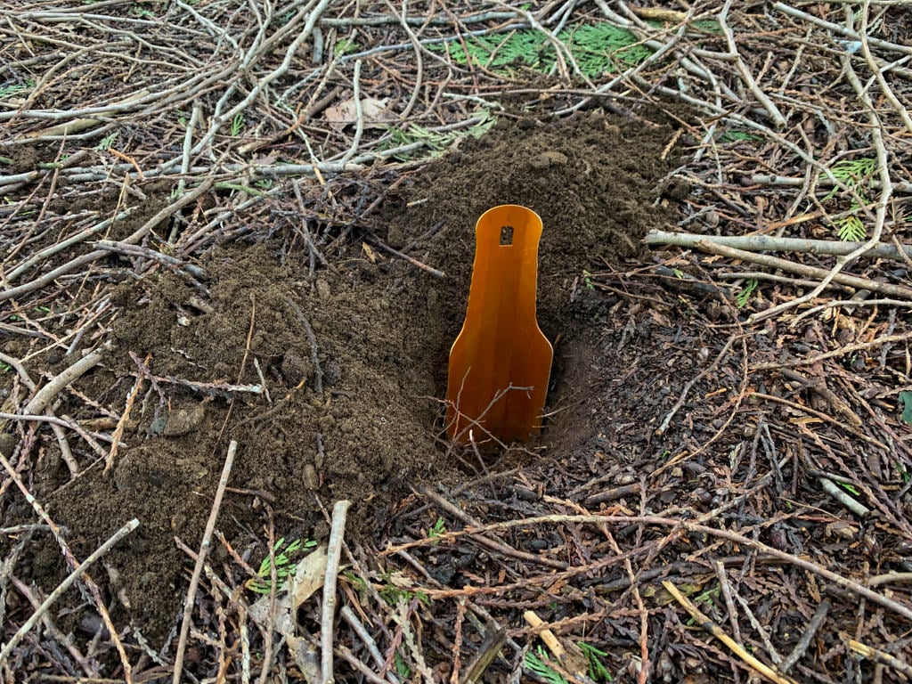 Cat Hole