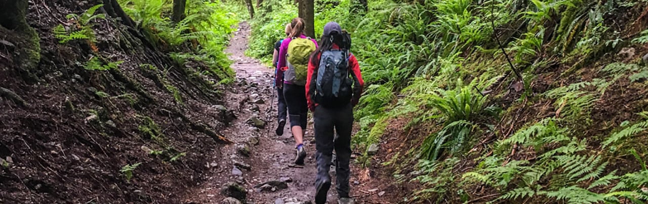 Norvan Falls Trail