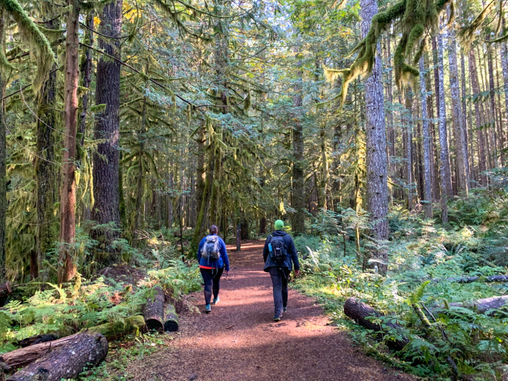 Four Lakes Trail, Alice Lake