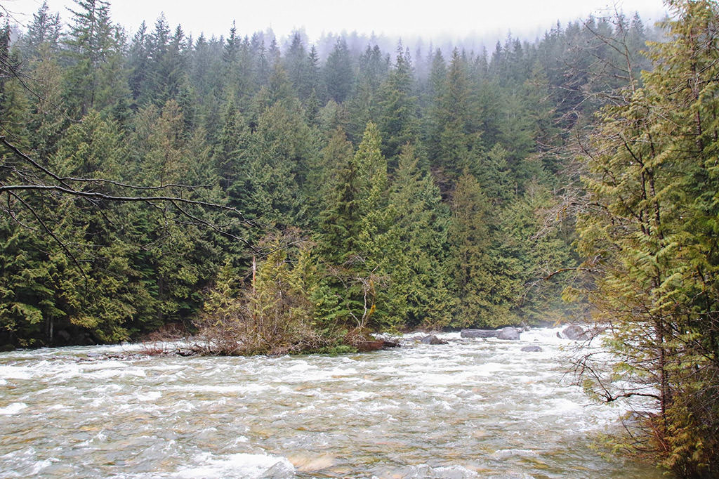 Gold Creek in het provinciale park Golden Ears
