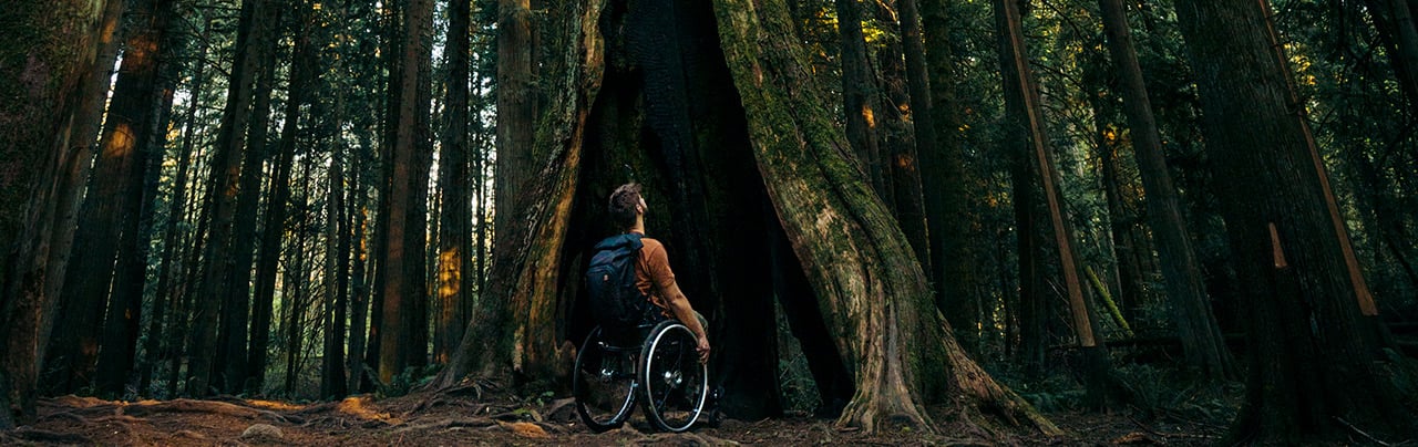 Wheelchair Accessible Hiking