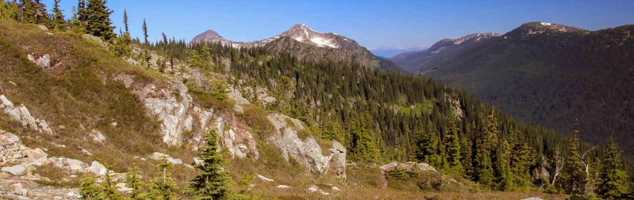 Zoa Peak