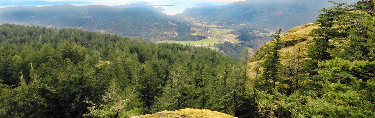 Salt Spring Island View